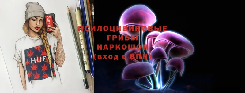 Галлюциногенные грибы Psilocybe Кашин